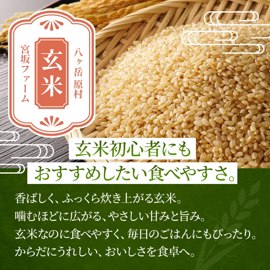 八ヶ岳で育った 玄米 ゆめしなの 10kg お米