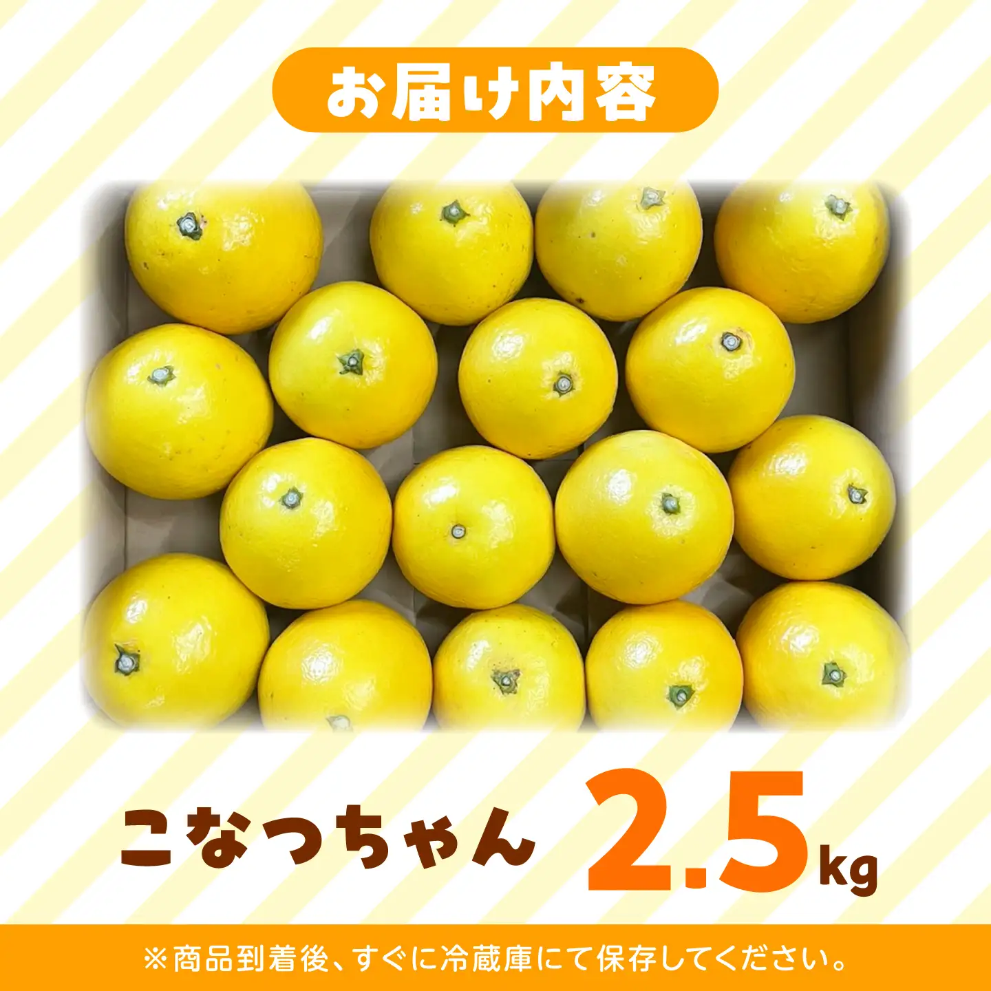 「こなつちゃん」小夏2.5kg【土佐文旦産直協同組合】[BQAH013]