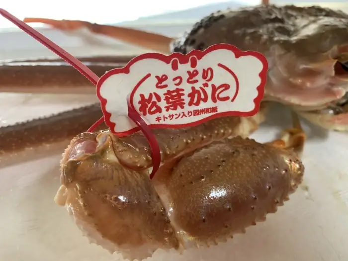 ＜ブランドタグ付＞活！松葉ガニ(特大)900g 1枚 鳥取網代港 岩美 松葉がに ずわいがに かに ※お届けは2026年11月中旬～【さかなや新鮮組】【22095】