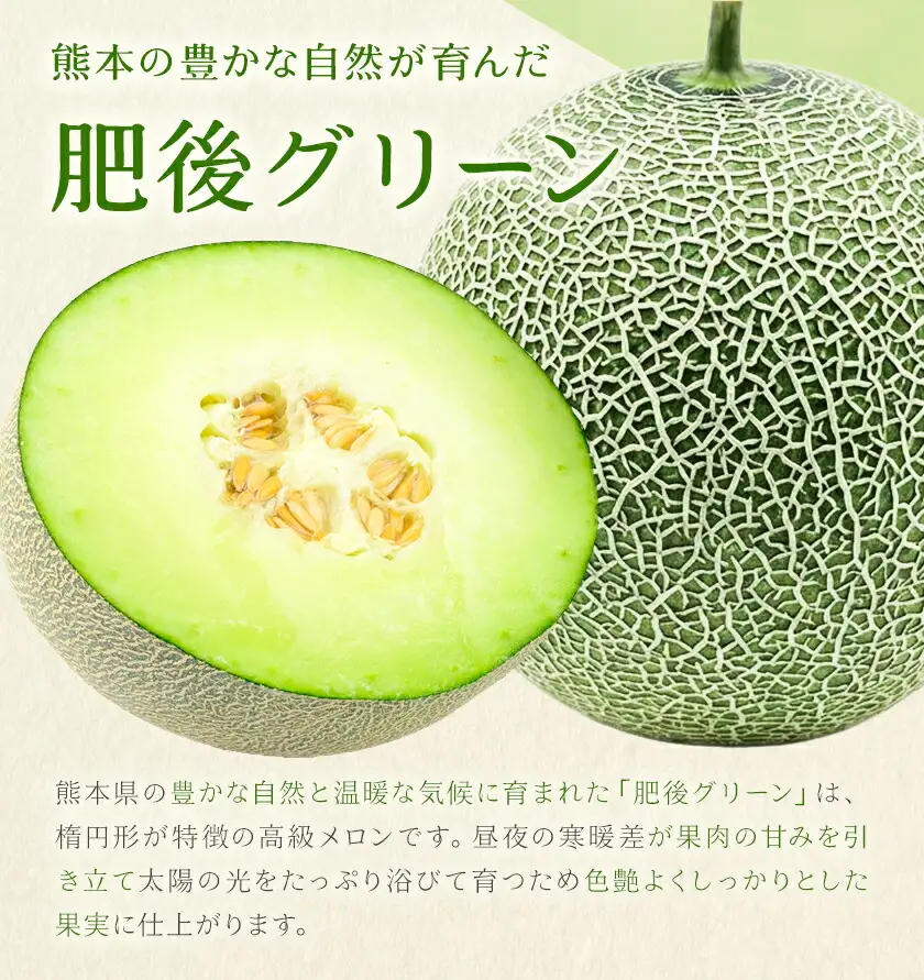 肥後グリーンメロン 1玉 熊本 株式会社エフビーネット《4月上旬-7月上旬頃出荷》