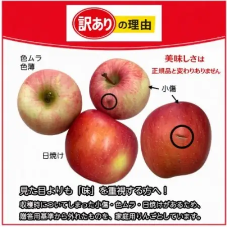 生産農家直送　長野県中野市産　サンふじ　訳ありご家庭用　約10kg(24～41玉)【1716053】