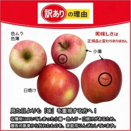 生産農家直送　長野県中野市産　サンふじ　訳ありご家庭用　約5kg(12～20玉)【1716055】