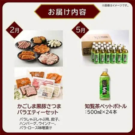 【発送月固定定期便】南九州まんぞく定期便　ライト全4回【配送不可地域：離島】【4014768】