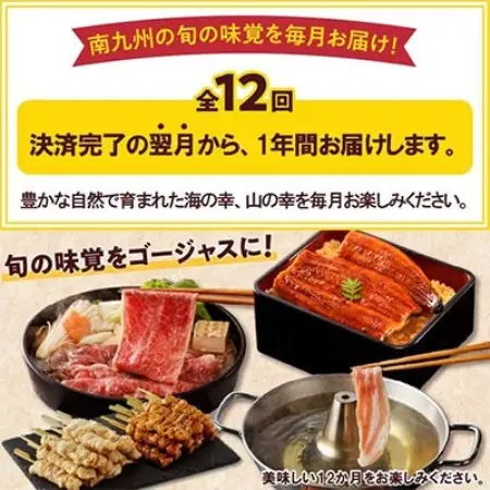 【発送月固定定期便】南九州トクトク定期便全12回【配送不可地域：離島】【4014769】