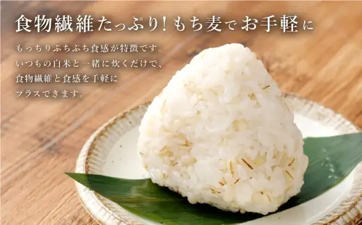 【はくばく】国産もち麦 300g×6袋 合計1.8kg もち麦 穀物 食物繊維 ご飯 ごはん 山梨県 中央市 国産 もっちり ぷちぷち 食感 はくばく