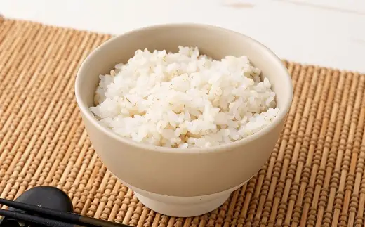 【はくばく】大麦効果 360g×6袋 雑穀 雑穀米 麦ごはん 常温保存 パックご飯 備蓄 混ぜるだけ 健康 機能性表示食品 大麦 もち性