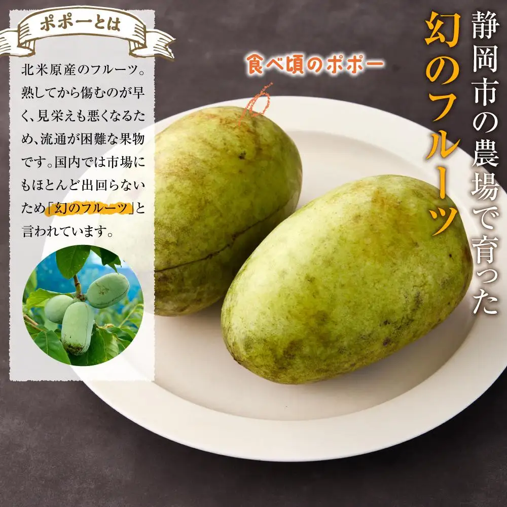 【2026年9月中旬頃より発送 受付締切9月20日】ポポー 約1kg【受取日事前打合せ可能な方限定】【配送不可：離島】幻の果実 レア フルーツ ポポー 健康 美容 美肌 ファーム池の沢 静岡市◇