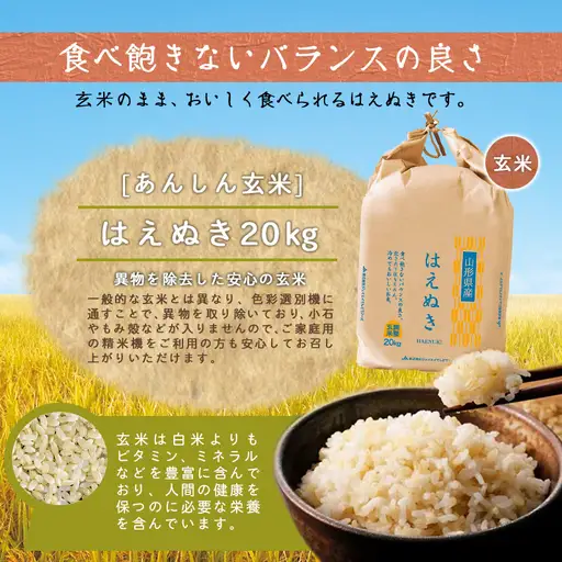 【8月中旬発送】令和7年産 【 あんしん玄米 】 はえぬき 20kg 米 玄米 山形 08-01-219-08B