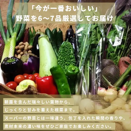 【定期便9回】季節の野菜セット（6～7品）