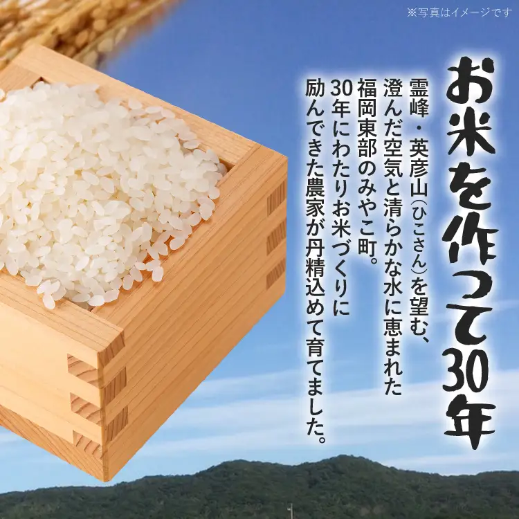 米  無洗米 令和8年産 元気つくし 10kg  米 