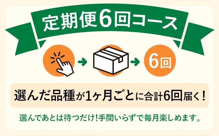 米 定期便 令和8年産 無洗米 元気つくし 5kg 6回  米 