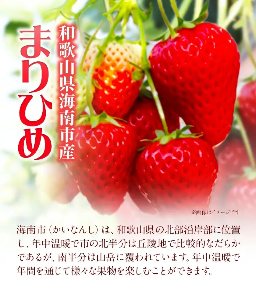 いちご まりひめ 約300g×2パック【配送不可地域あり】いちご
