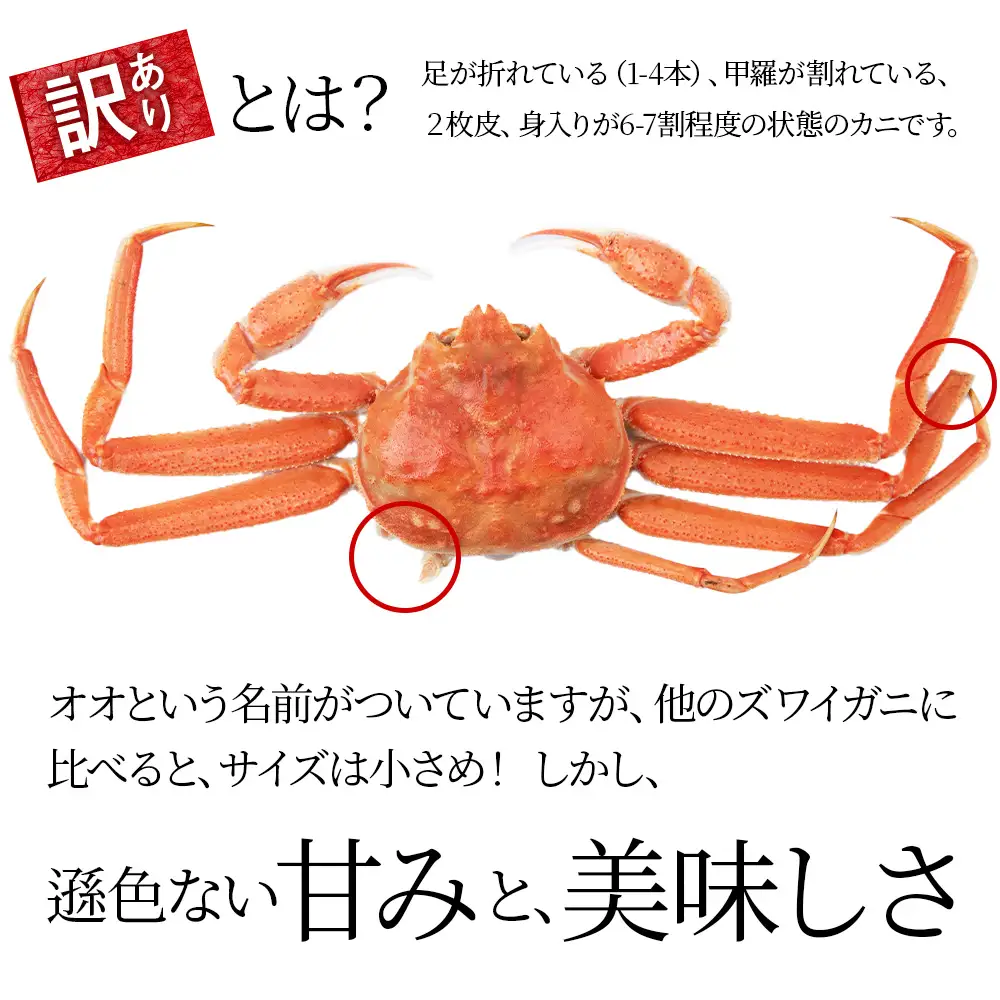 【7営業日以内発送】訳あり オオズワイガニオス 特大サイズ (約400-700g) 浜ゆで 2kg (3尾入)AS225