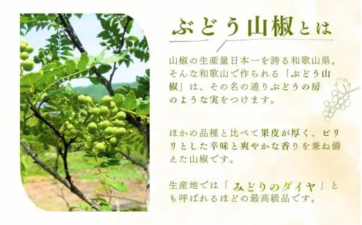  冷凍 ぶどう 生実山椒 100g あく抜き処理済み / 山椒 さんしょう 香辛料 調味料 薬味 冷凍 ぶどう山椒  和歌山県 紀美野町 実山椒【twn044-cmi-100】