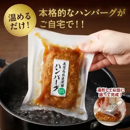 かごしま黒豚ハンバーグおろしソース10個【配送不可地域：離島】【1185888】