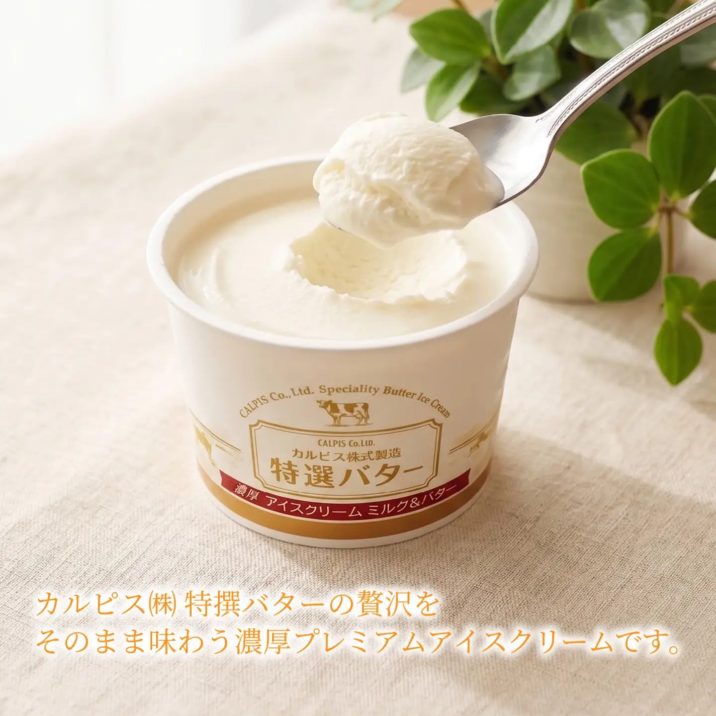 カルピス(株)特撰バターアイスクリーム ６個入 アイス プレミアム