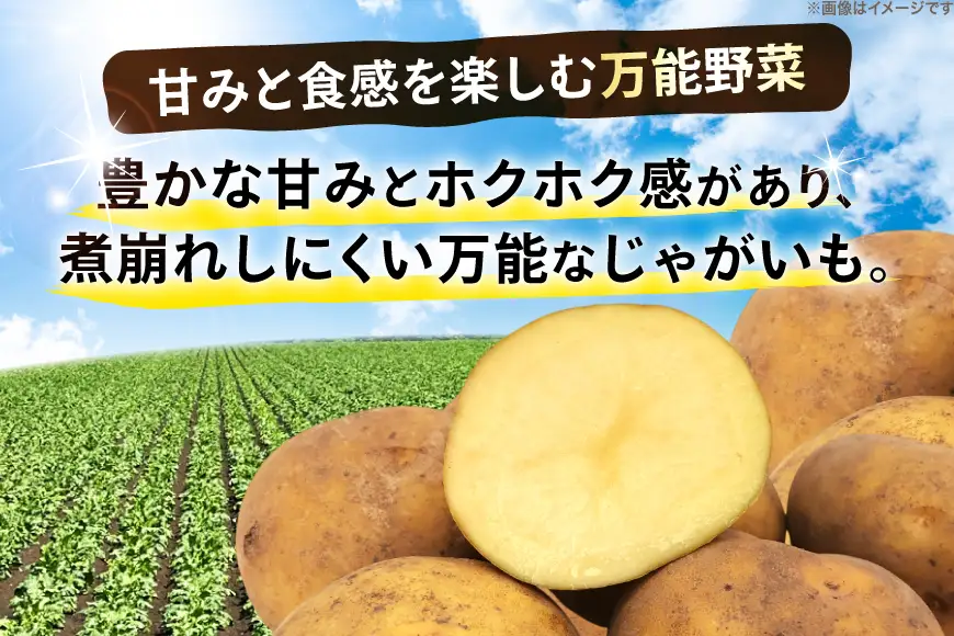 じゃがいも きたむかい 5kg [けんぶちVIVAマルシェ 北海道 剣淵町 14656394]