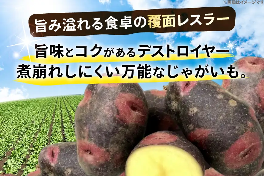 じゃがいも デストロイヤー 5kg [けんぶちVIVAマルシェ 北海道 剣淵町 14656393]