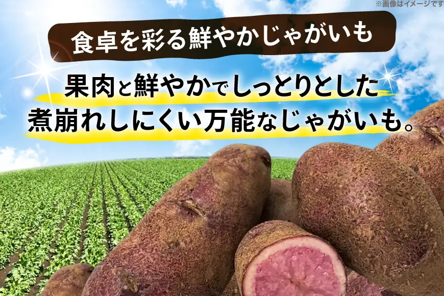じゃがいも ノーザンルビー 5kg [けんぶちVIVAマルシェ 北海道 剣淵町 14656392]