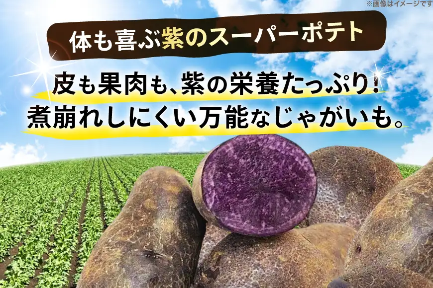 じゃがいも シャドークイーン 5kg [けんぶちVIVAマルシェ 北海道 剣淵町 14656391]