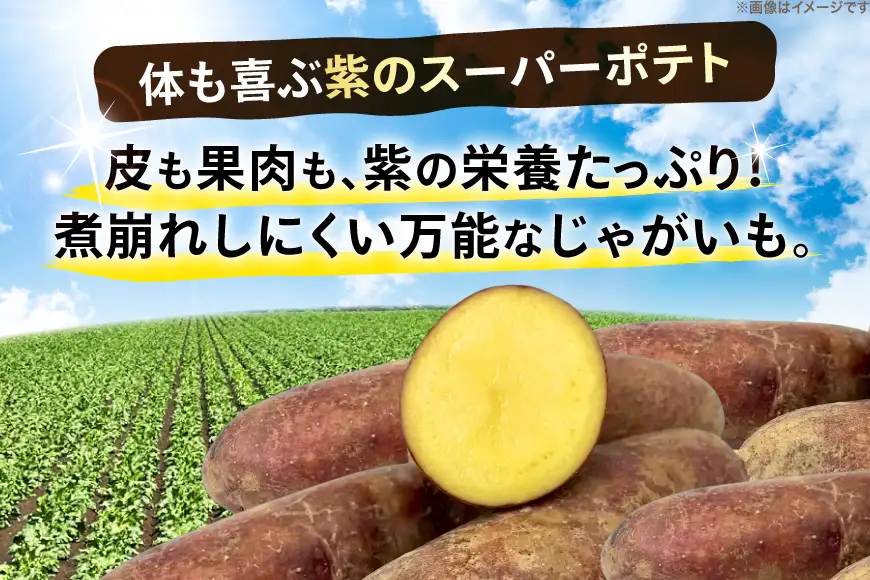 じゃがいも タワラヨーデル 5kg [けんぶちVIVAマルシェ 北海道 剣淵町 14656390]