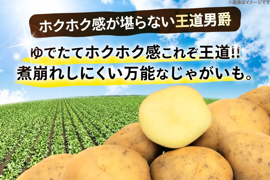 じゃがいも 男爵 5kg [けんぶちVIVAマルシェ 北海道 剣淵町 14656389]