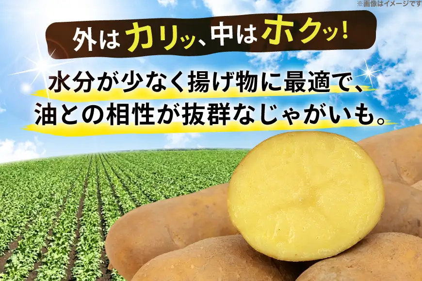 じゃがいも 北海黄金 5kg [けんぶちVIVAマルシェ 北海道 剣淵町 14656385]