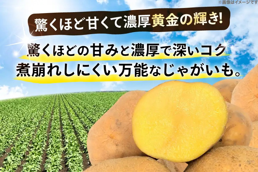 じゃがいも ながさき黄金 5kg [けんぶちVIVAマルシェ 北海道 剣淵町 14656386]