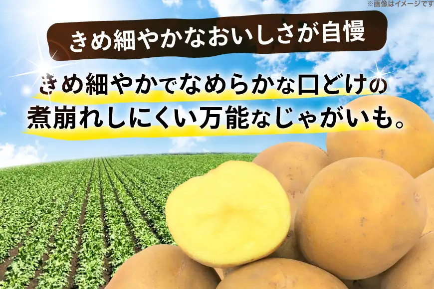 じゃがいも とうや 5kg [ けんぶちVIVAマルシェ 北海道 剣淵町 14656387]