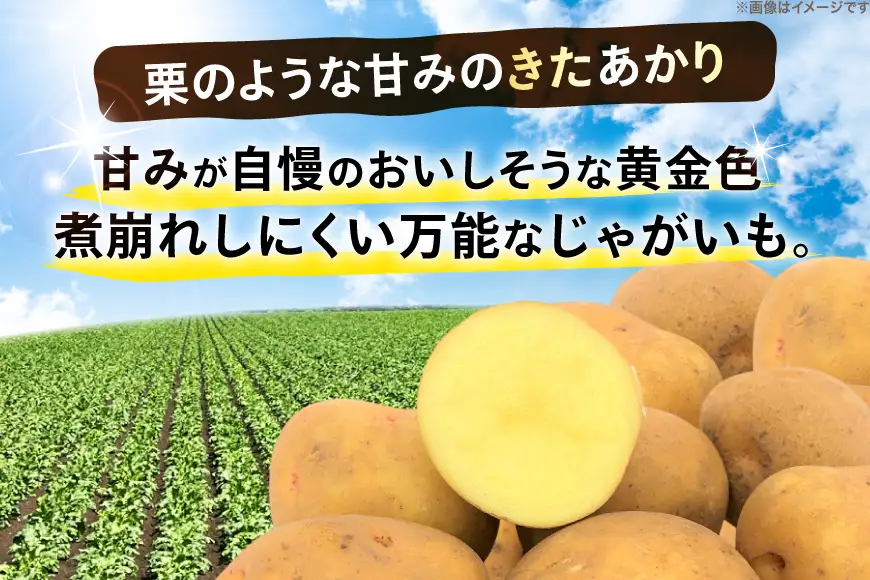 じゃがいも きたあかり 5kg [けんぶちVIVAマルシェ 北海道 剣淵町 14656388]