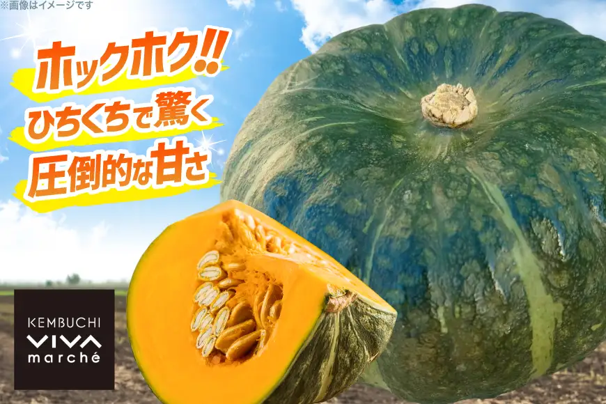 かぼちゃ くりてんか 約10kg 4～6玉 [けんぶちVIVAマルシェ 北海道 剣淵町 14656395]