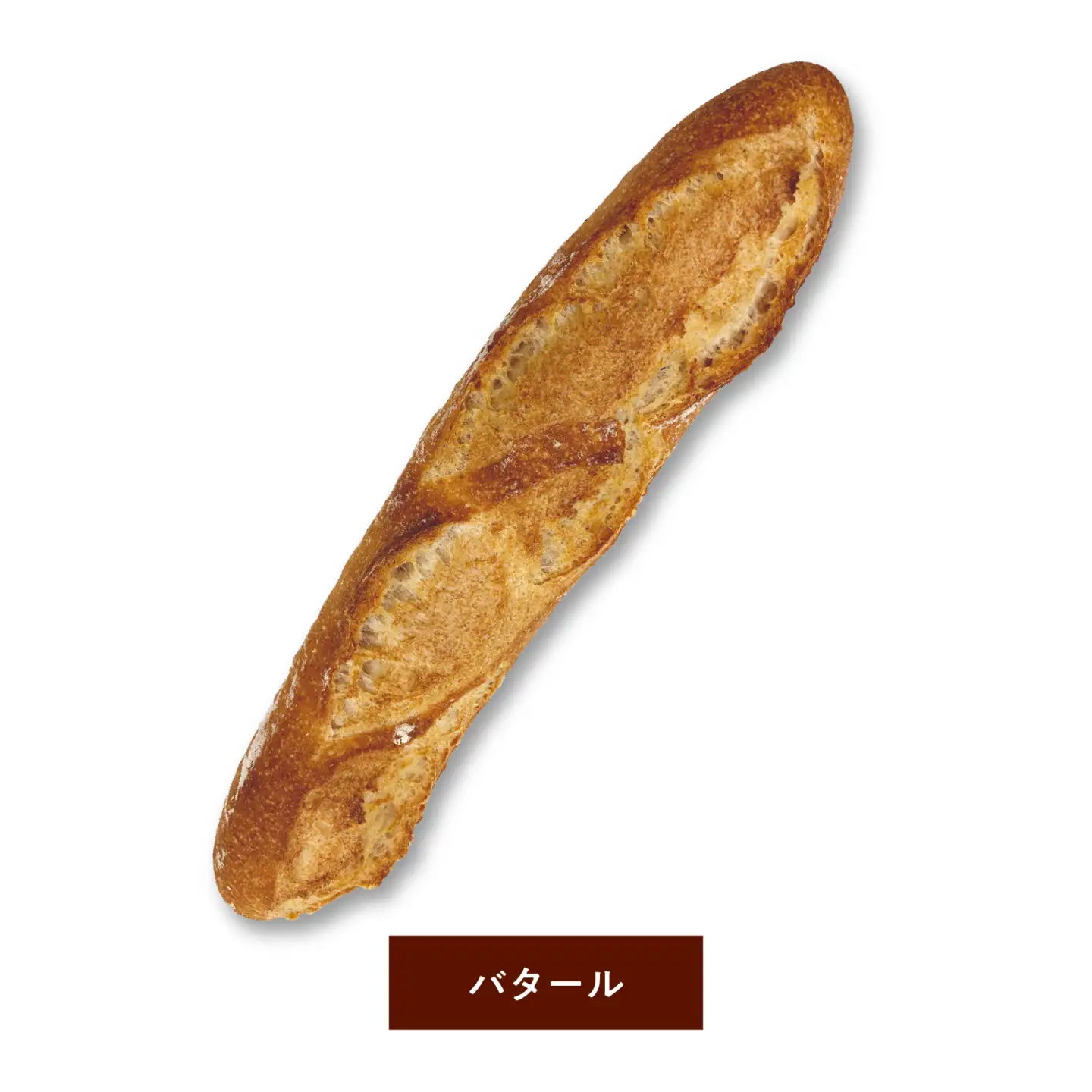 国産小麦100％MIHOPANおすすめパンセット（大型パン５個（バタール・ライ麦カンパーニュ・いちじくとくるみのライ麦カンパーニュ・お芋のハード食パン・全粒粉入り食パンの種類からランダムに５個）/１箱）