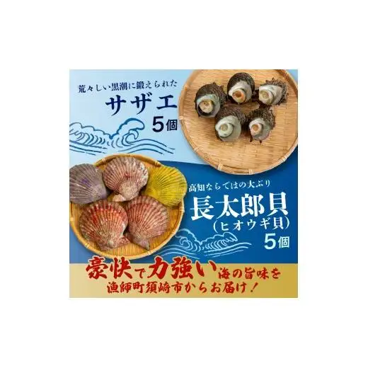 サザエ 長太郎 10個 セット 