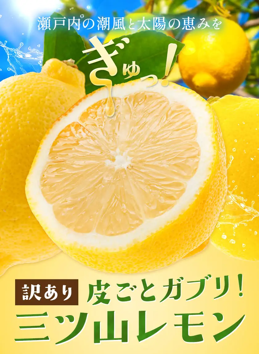 《先行予約》 訳あり 三ツ山レモン 1kg 三ツ山レモンファーム
