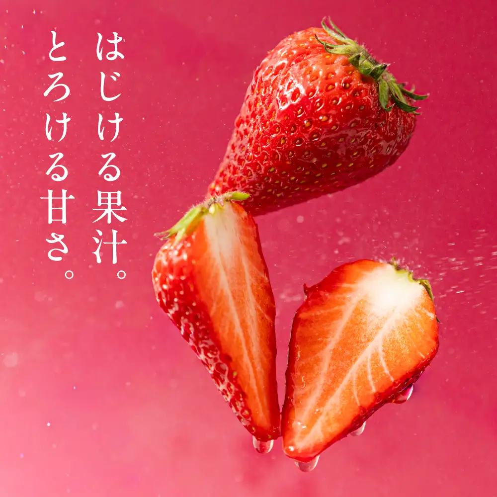 【先行予約】《2027年1月～発送》令和9年産 品種おまかせ いちご 紅ほっぺ かおり野 1kg (250g × 4p) サイズ 不揃い 農園直送 生食 ケーキ [mt2205]｜フルーツ 果物 苺 イチゴ 子ども 小分け 簡易梱包 家庭用 産地直送 岐阜県 本巣市 15000円