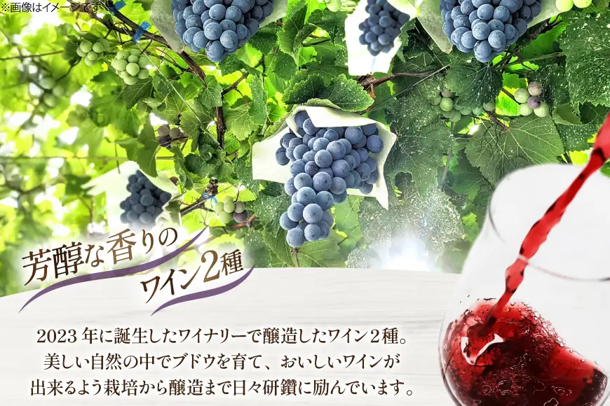 ワイン シャインマスカット醸しワイン 樽熟成赤ワインセット 750ml x 2本 [Creation farm 山梨県 韮崎市 20745402]