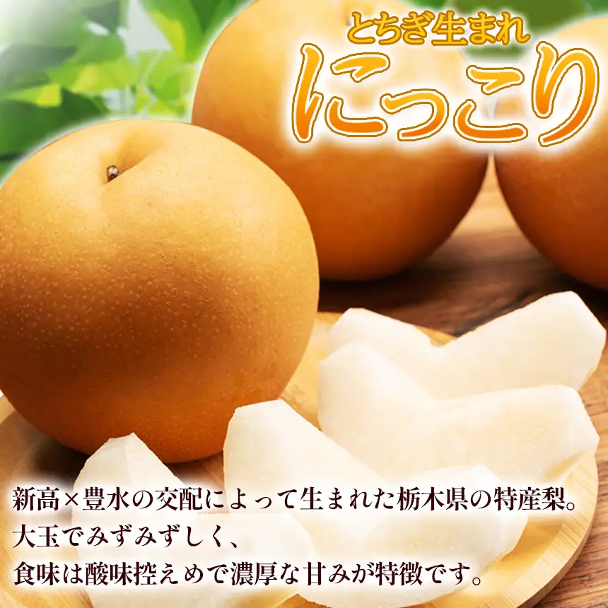 【栃木県共通返礼品】梨 にっこり 5kg | 栃木県 那珂川町 送料無料