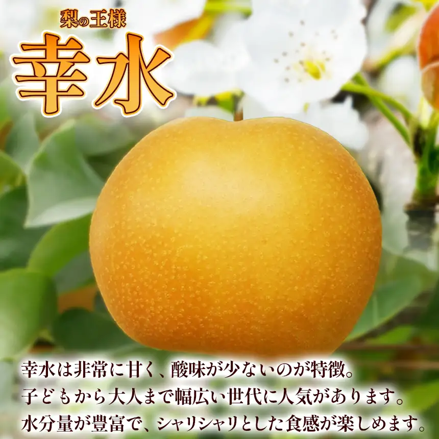 【栃木県共通返礼品】梨 幸水 5kg | 栃木県 那珂川町 送料無料