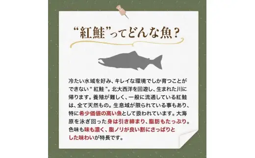 【 訳あり 】 天然紅鮭切落し 500g × 3袋 1.5kg 天然紅鮭 天然 紅鮭 鮭 さけ サケ 魚類 魚 魚介 魚介類 海鮮 冷凍 切落し 切り身 酒肴 晩酌 おかず つまみ