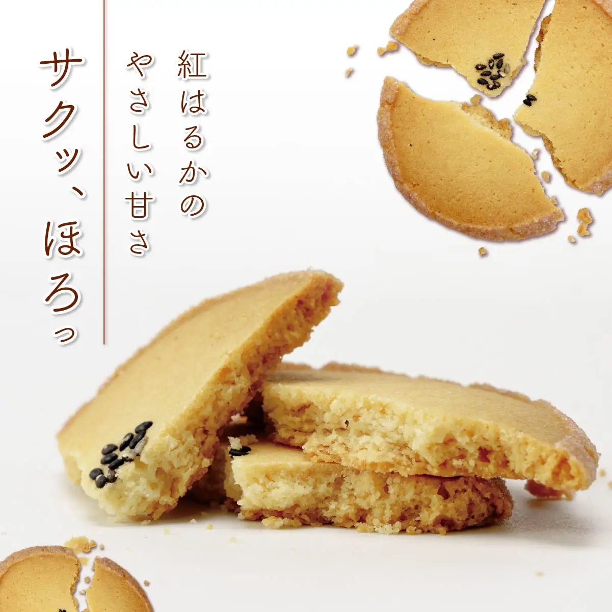 さつまいもクッキー(5枚入り) | クッキー くっきー サツマイモ さつまいも 焼菓子 焼き菓子