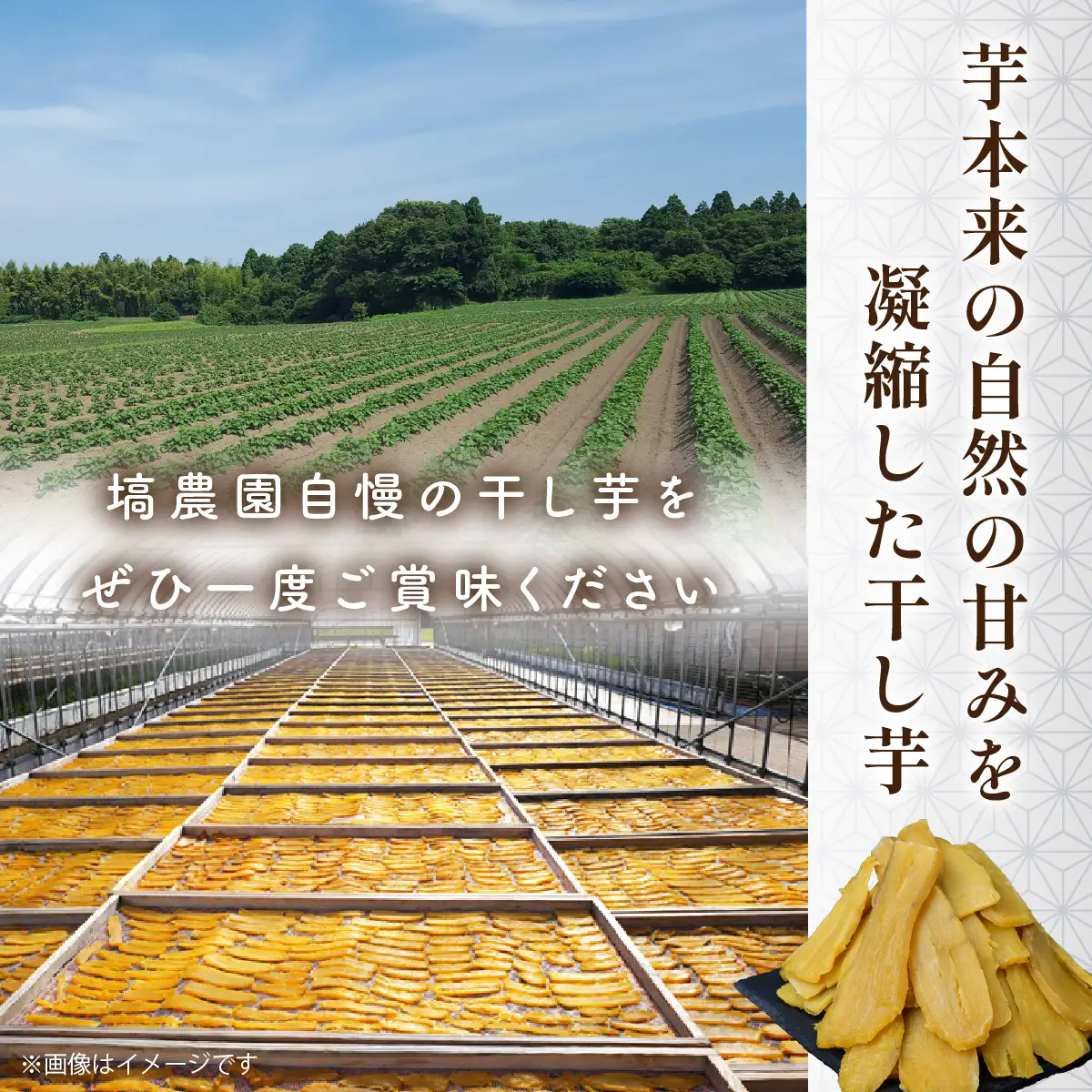 ねっとり食感　紅はるかの干し芋　平干し1kg×1箱 茨城県ひたちなか市産 ｜干し芋 紅はるか 平干し ほしいも
