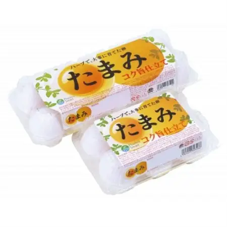 いすみポートリー「たまみ」コク旨仕立て10個入×10パック+割れ保障10個×2パック付【配送不可地域：離島】【1729055】