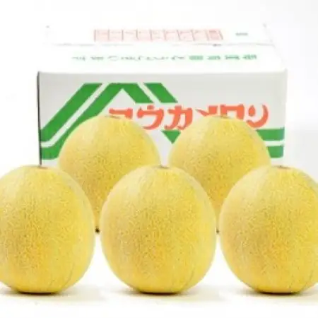 数量限定!こだわり農家さんの希少な優香メロン【2L×2】【配送不可地域：離島・北海道・沖縄県・東北】【1735444】
