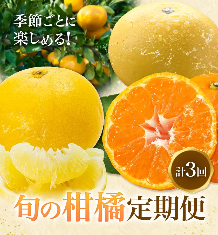 旬の柑橘定期便 山本果樹園 旬のみかん 約5kg パール柑 約5kg 晩白柚 2玉（Lサイズ）《11月上旬-2月下旬頃出荷》