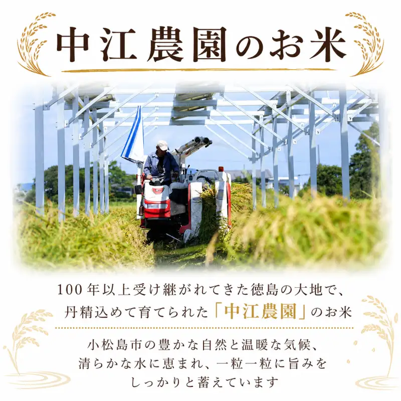 令和7年産 コシヒカリ 10kg 白米 米 数量 限定 こしひかり 10キロ 米10kg 小松島市
