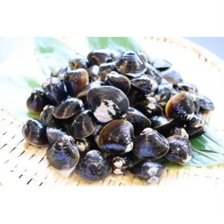 【北海道小清水町】トウフツ湖　大粒しじみ貝400g×2袋(砂出し済)【配送不可地域：離島】【1739471】