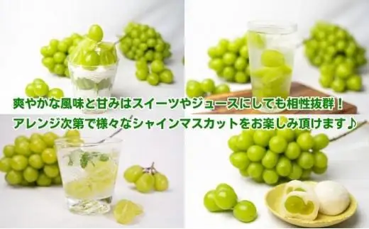 【2026年9月上旬より順次発送】シャインマスカット 訳あり 約1kg 2-3房