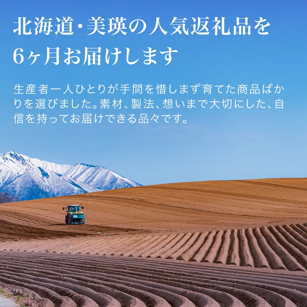 美瑛オールスター 定期便 6回便 北海道