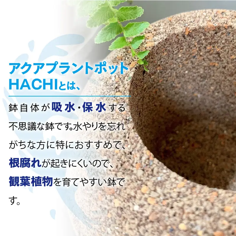 アクアプラントポットHACHI「玉(ｷﾞｮｸ)」黒_33-115-1-2