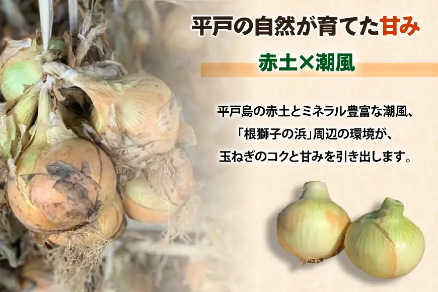 玉ねぎ 赤玉ねぎ セット 各約4kg 計約8kg [しげさん農園 長崎県 平戸市 hr42bgy420521]
